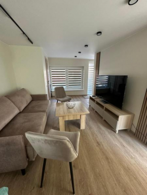 G&G Apartments in Nida